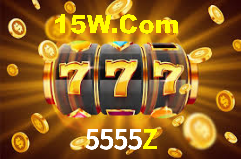 5555Z App Interface